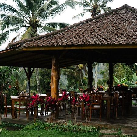 Villa Puri Sunny Camp à Munduk Extérieur photo