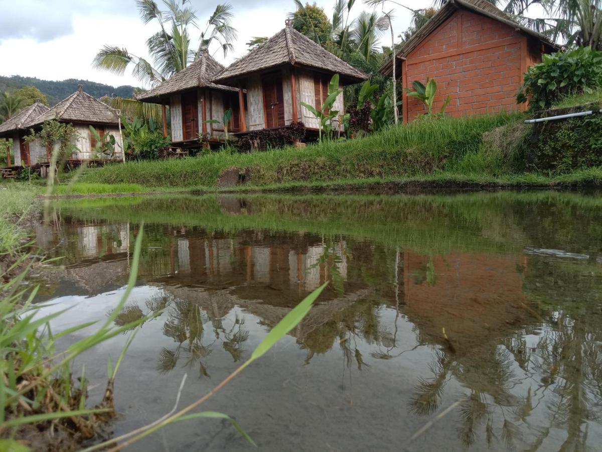 Villa Puri Sunny Camp à Munduk Extérieur photo