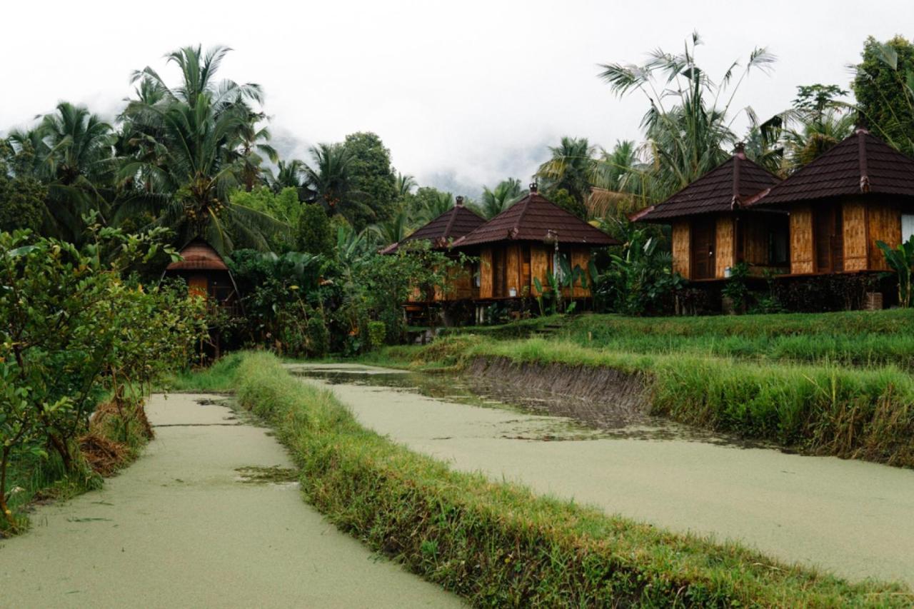 Villa Puri Sunny Camp à Munduk Extérieur photo