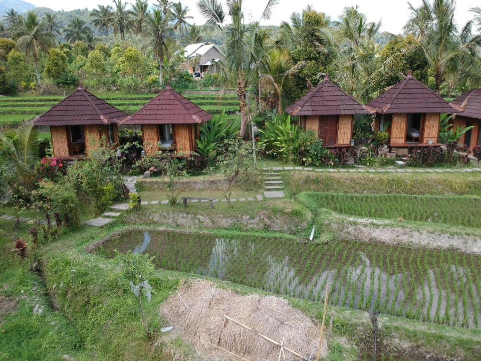 Villa Puri Sunny Camp à Munduk Extérieur photo