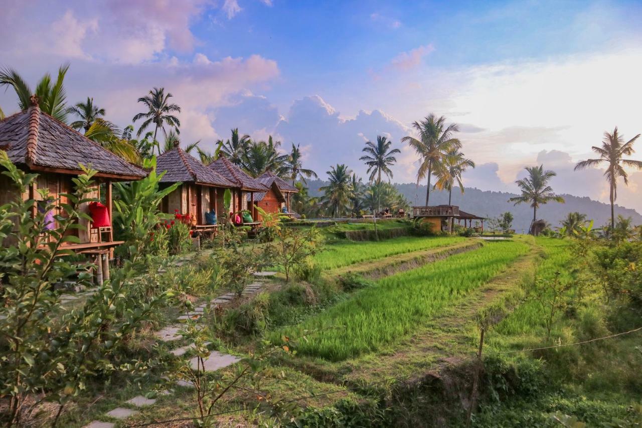 Villa Puri Sunny Camp à Munduk Extérieur photo